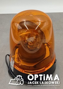 597080081