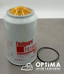 FS19816