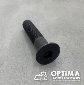 M20X100-IMB